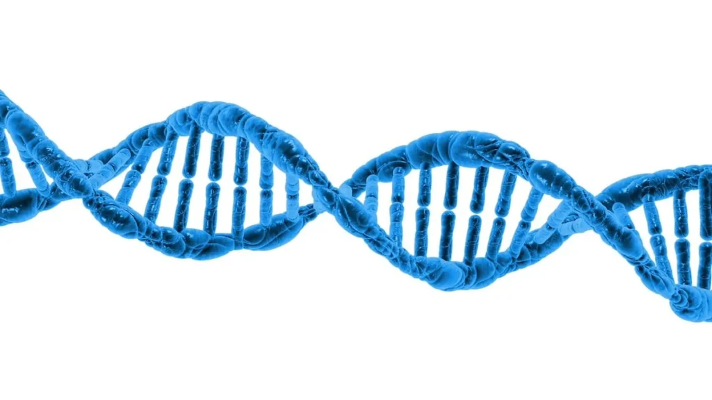 A blue DNA double helix on a white background representing molecular data storage technology.
