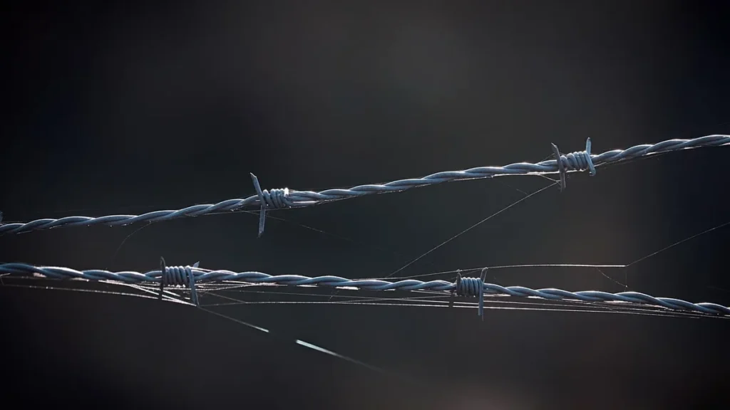 Close-up of barbed wire strands with delicate spiderwebs glinting against a dark, moody background, symbolizing security and