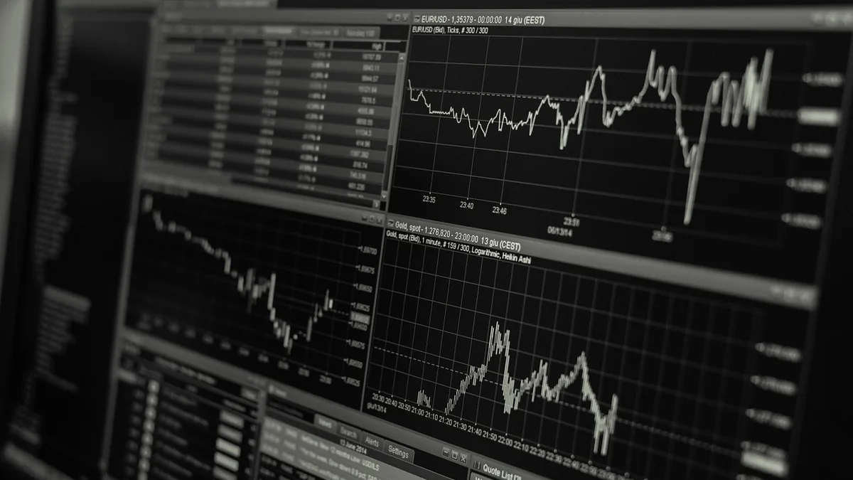 A black-and-white close-up of a computer screen displaying financial trading charts and data tables.