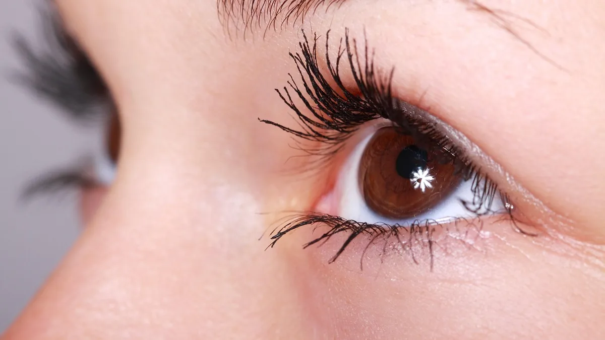 Close-up of a brown human eye with long eyelashes and a star-shaped light reflection in the pupil.