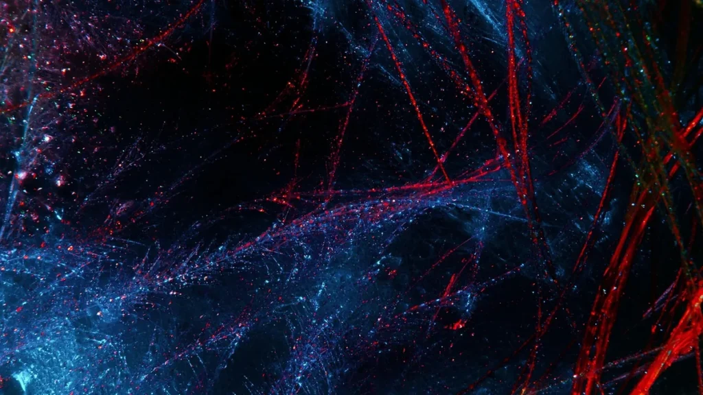 Abstract glowing red and blue network fibers sparkling on a dark background.