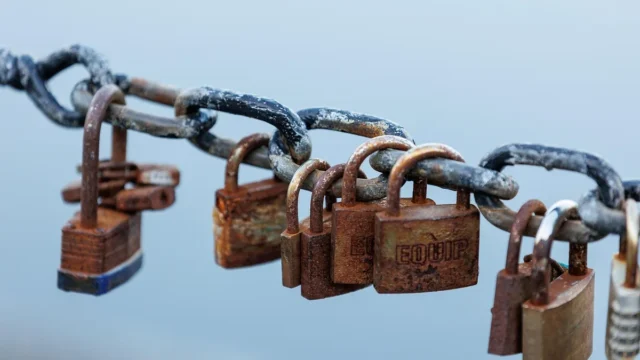 MonsterCloud Owner Pleads Not Guilty to Wire Fraud Charges Over Alleged Undisclosed Ransom Payments