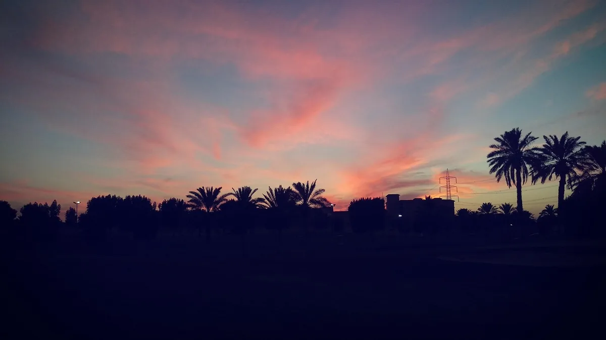 Silhouette of palm trees and buildings against a vibrant pink and blue sunset sky.