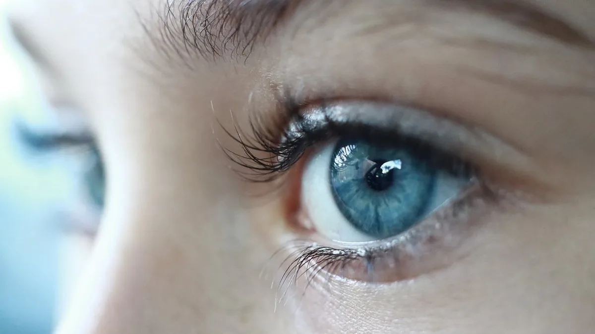 A close-up of a bright blue human eye, symbolizing focus and close scrutiny.